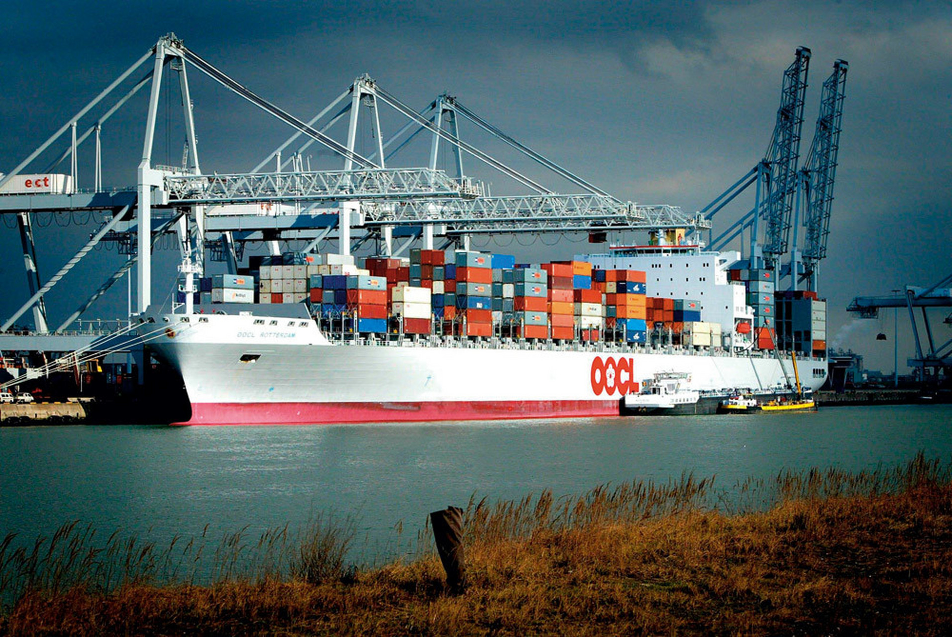 世俱杯决赛-鹿特丹鹿象团队对决浦项制铁,实力对比激烈的简单介绍