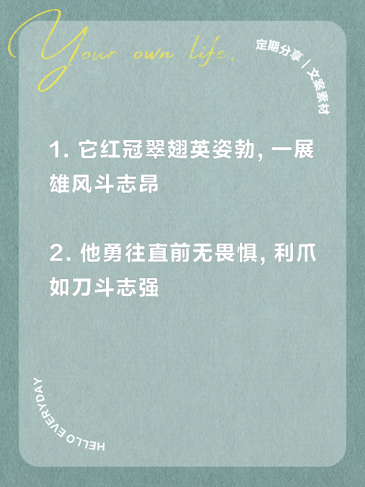 世俱杯-不求一胜!球队群雄斗志,大杀一方