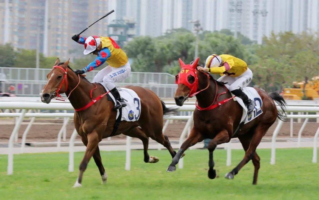 关于太阳队员火力全开，轻松胜出的信息