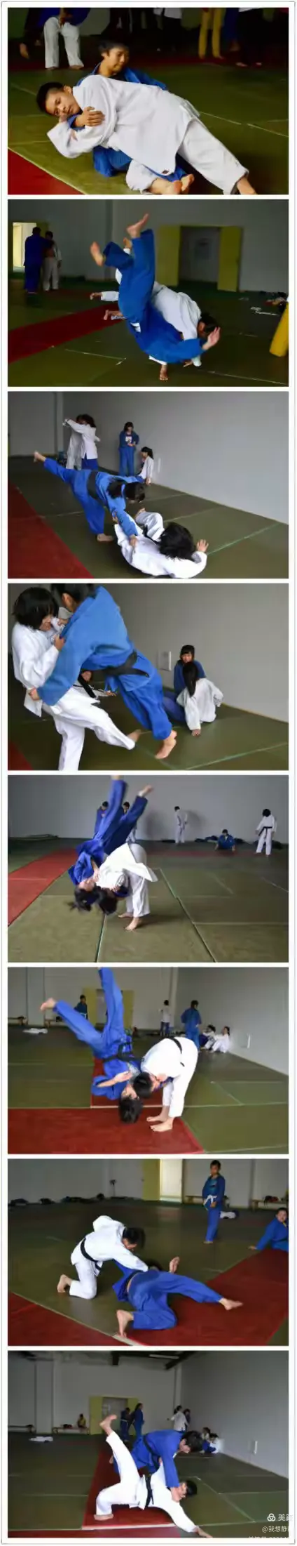 世俱杯冠军-展翅高飞!选手挑战极限,向荣耀进发的简单介绍