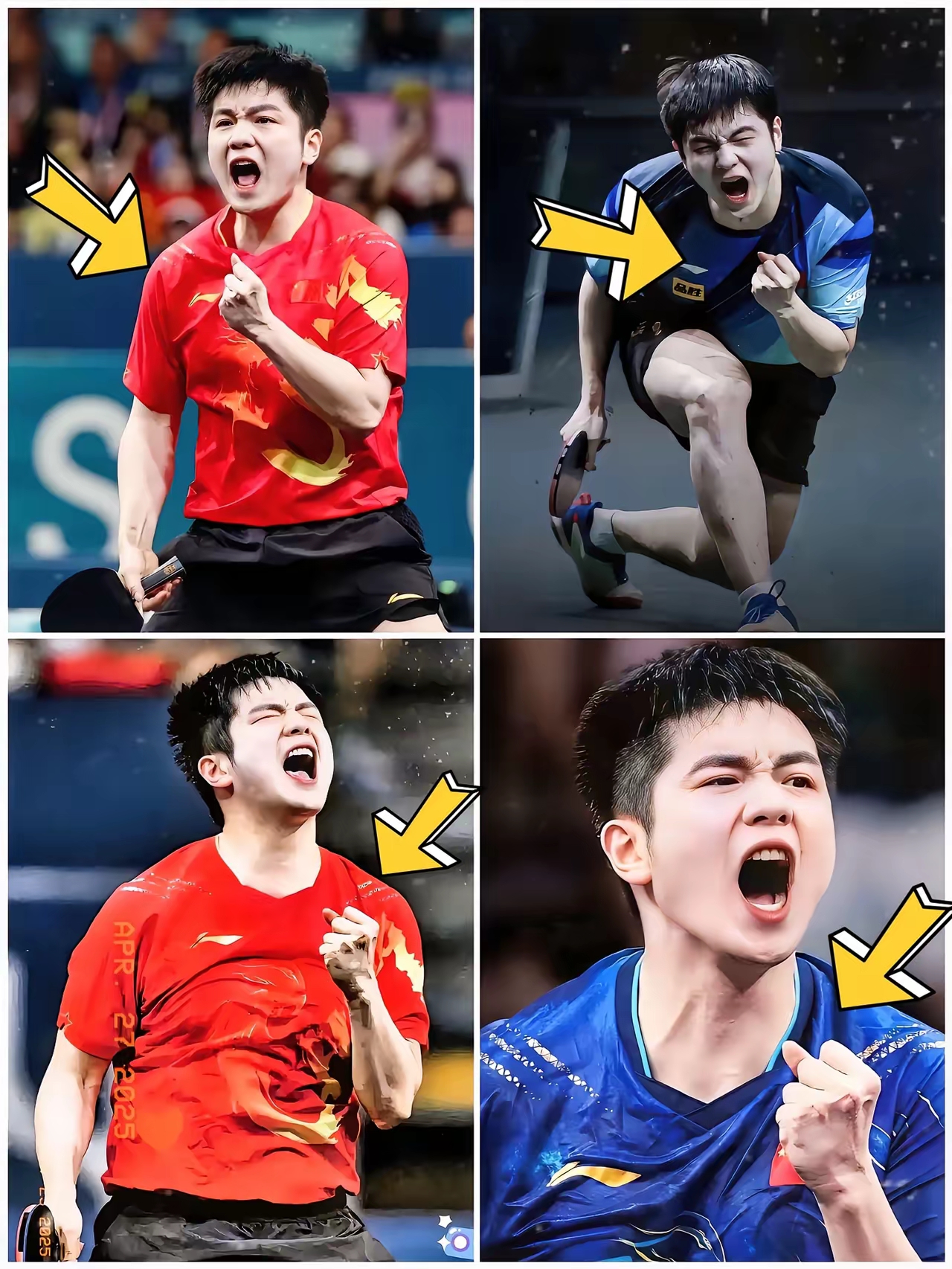 世俱杯分组-葡萄牙队完胜波兰队，樊振东高光表现的简单介绍