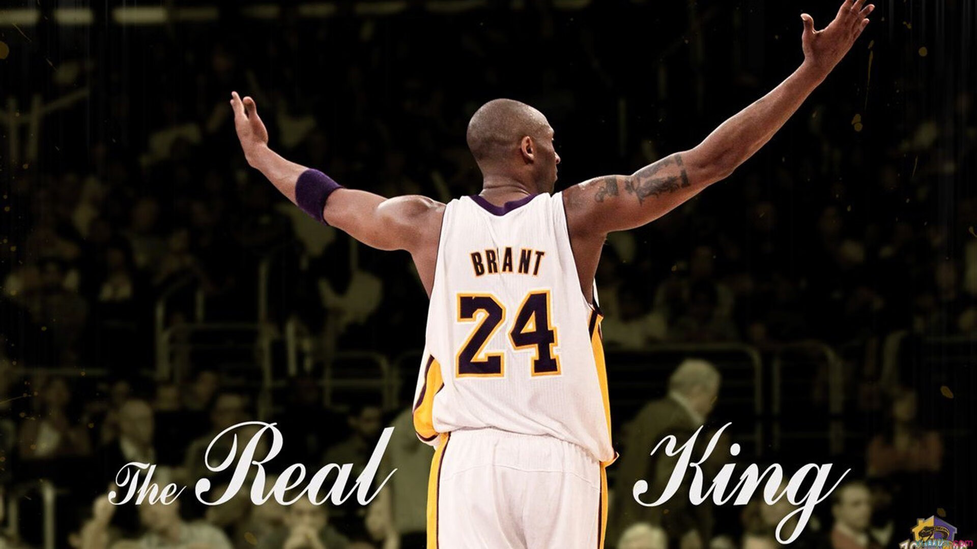 世俱杯2025-绿茵与硬地的对话，德约科维奇如何让温网哲学险胜澳网法则